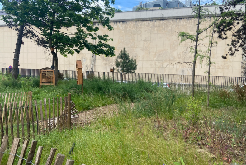 Hôpital Saint Anne 2025 Arp Astrance