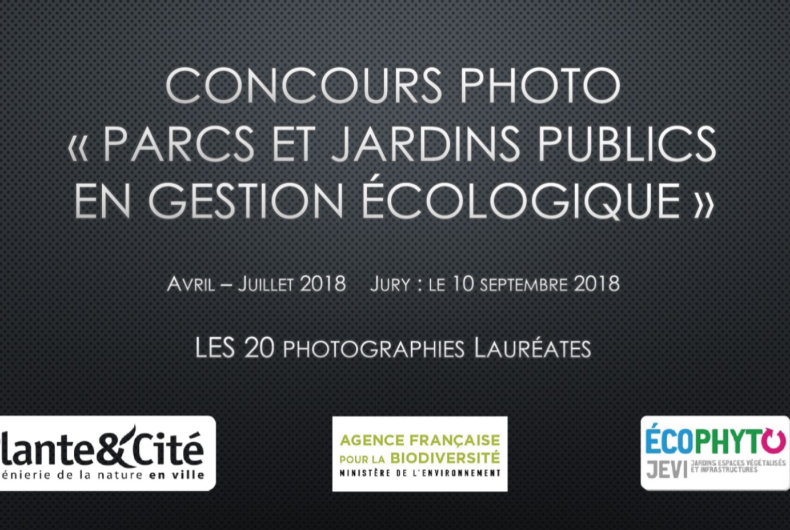Résultats concours photos