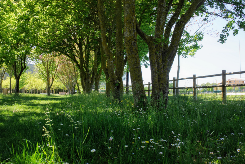 Parc Christine Bernard, labellisé à la 1ere session 2019. Crédit : Alticime