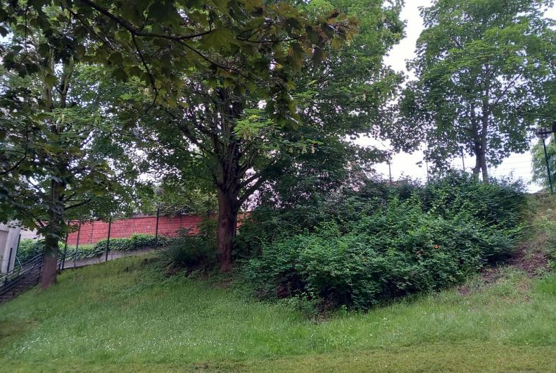 PLATEAU MAISON ALFORT 