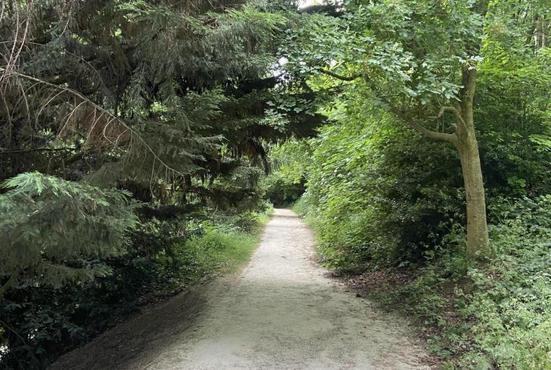 PARC DE BRIMBORION