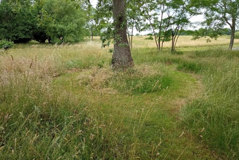 PARC CIMETIERE RIVE DROITE 2025
