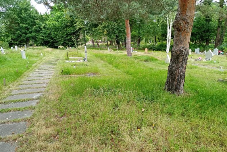 PARC CIMETIERE RIVE GAUCHE 2025