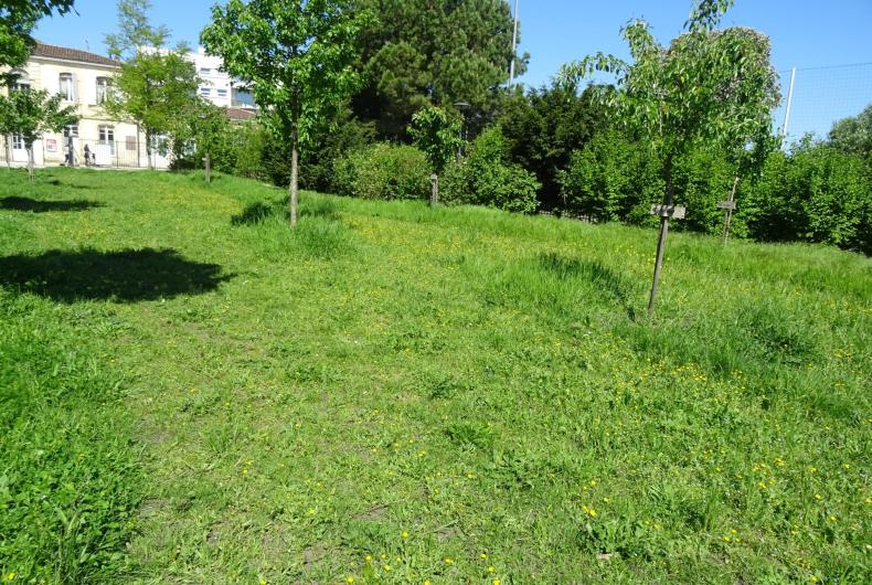 PARC DE LUSSY