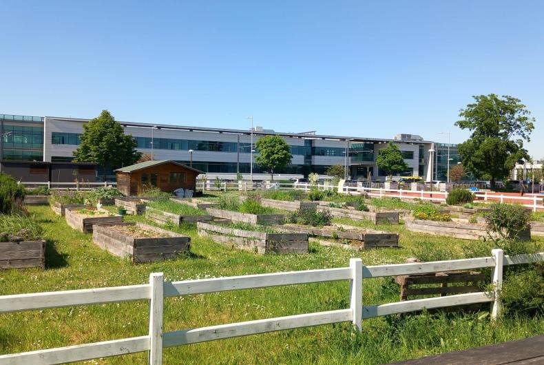 PARC ORLY RUNGIS 2025