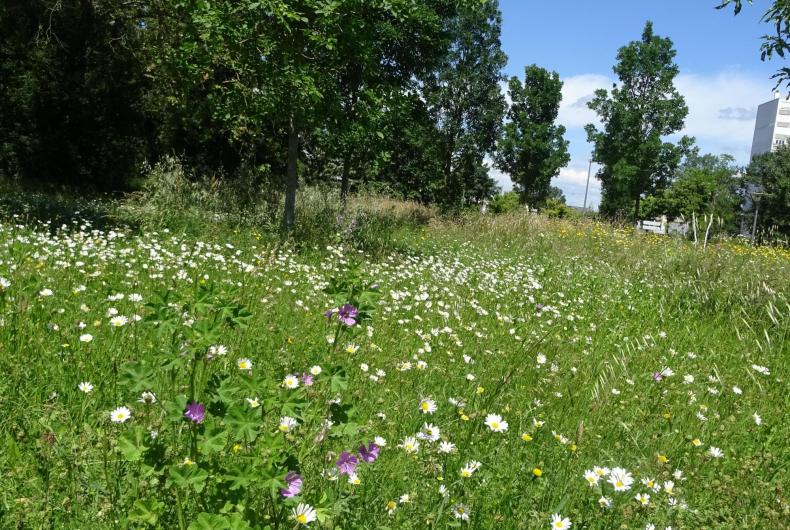 PARC DE PARILLY 2024