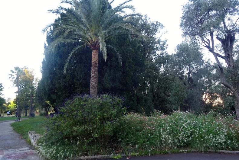 Entrée du parc : massif de vivaces, arbres, pelouse