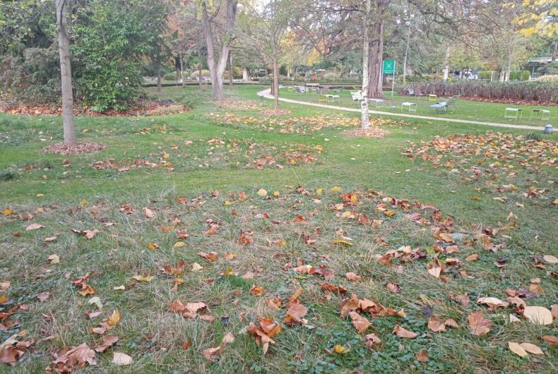 Îlots de prairie sur secteur engazonné