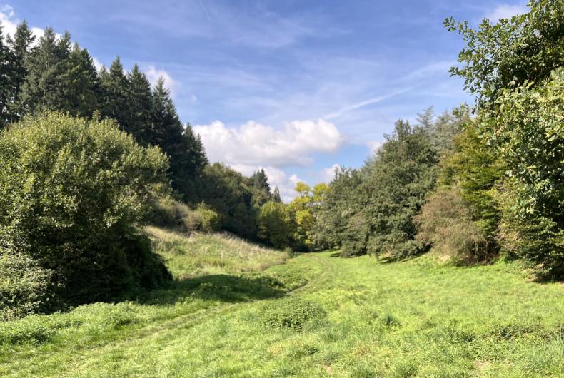 PARC DE PINELON ALTICIME 2025