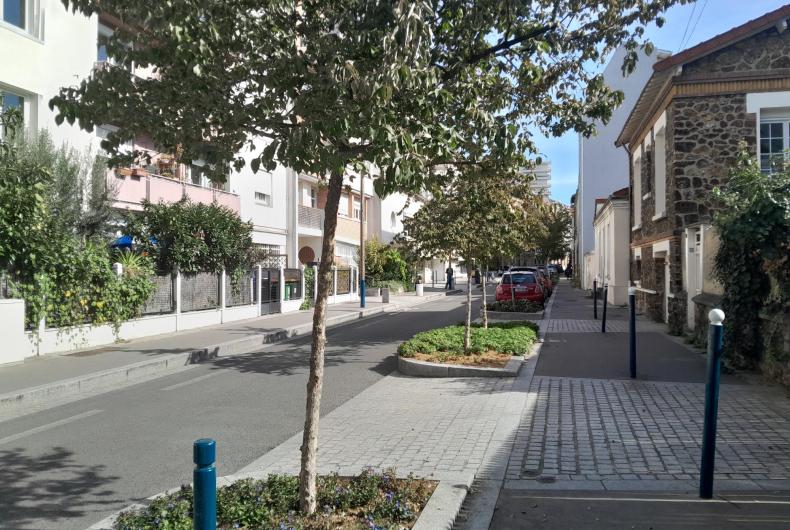 Alignement d'arbres de la rue Rouget de l'Isle