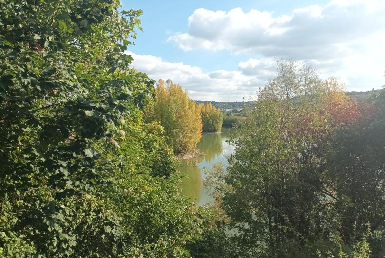 Bassin en eau sur le site