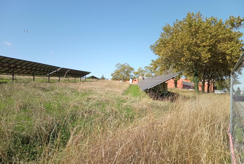 Différenciation des coupes strate herbacée parc photovoltaïque 