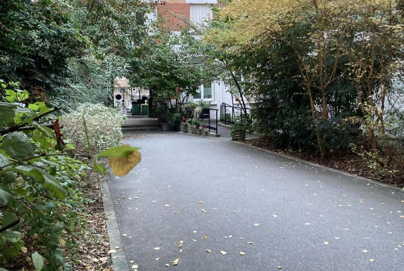 Allée du site bordée par une végétation arbustive