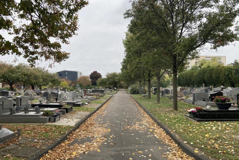 Allée du cimetière