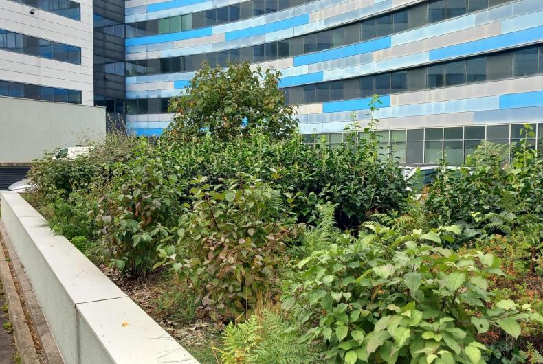 Espace de jardinière