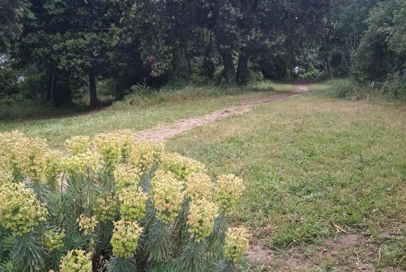 Entrée parc