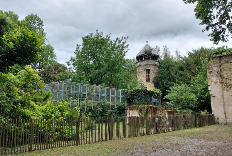 Ruine, lieu d'activité pédagogique