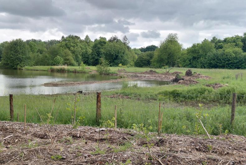 Aménagement d'un milieu aquatique
