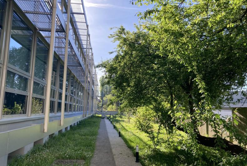 Abords végétalisés du bâtiment