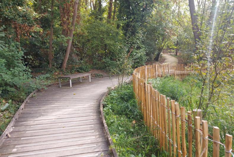 Audit - Bois de l'Aurore - 2026 