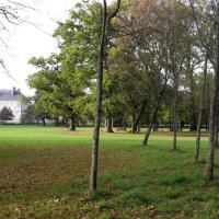 1_Nantes-Parc_Grand_Blottereau%C2%A9ARP-ASTRANCE_2015.jpg