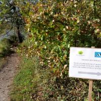 3_Nantes-Parc_Chantrerie%C2%A9ARP-ASTRANCE_2015.jpg