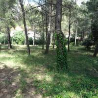 4_Marseille-Colline_St_Joseph%C2%A9Brassica_2015.JPG