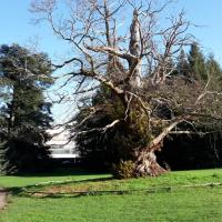 5_Nantes-Parc_Chantrerie%C2%A9ARP-ASTRANCE_2015.jpg