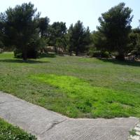 6_Marseille-Colline_St_Joseph%C2%A9Brassica_2015.JPG