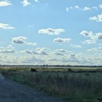 ADP_ORLY AVION_©Arp-Astrance_2024 (10).jpg