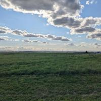 ADP_ORLY AVION_©Arp-Astrance_2024 (22).jpg