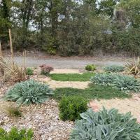 Agrocampus_Angers©Arp-Astrance_2022 (5).JPG