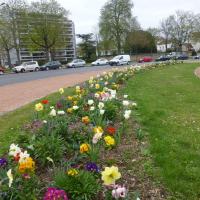 Allee_Parc_Dijon©Urban&amp;amp;Sens_2022 (1).JPG