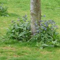 Allee_Parc_Dijon©Urban&amp;amp;Sens_2022 (3).JPG