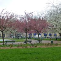 Allee_Parc_Dijon©Urban&amp;amp;Sens_2022 (5).JPG