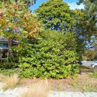 Belambra_Dourcan©Arp-Astrance_2023 (4).jpg