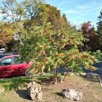 Belambra_Dourcan©Arp-Astrance_2023 (5).jpg