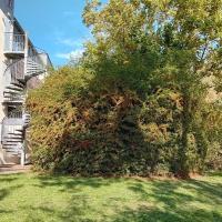 Belambra_Dourcan©Arp-Astrance_2023 (9).jpg