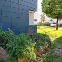 Bezons_PP_Batigere-idf©Arp-Astrance_2023 (1).jpeg