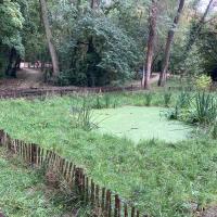 Bois_Aurore_Antony©Arp-Astrance_2023 (1).JPG