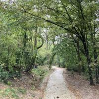 Bois_Aurore_Antony©Arp-Astrance_2023 (7).JPG