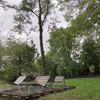 Bois_Aurore_Antony©Arp-Astrance_2023 (9).JPG