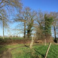 Chemin_Louvries_Rennes©Arp-Astrance_2019 (20).JPG