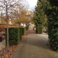 Cimetiere_Fauvelles-Courbevoie%C2%A9Gondwana_2016%20%282%29.JPG