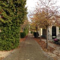 Cimetiere_Fauvelles-Courbevoie%C2%A9Gondwana_2016%20%285%29.JPG