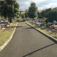 Cimetiere_Montreuil-Versailles%C2%A9Gondwana_2016%20%2817%29.JPG