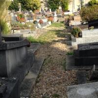 Cimetiere_Montreuil-Versailles%C2%A9Gondwana_2016%20%2828%29.JPG