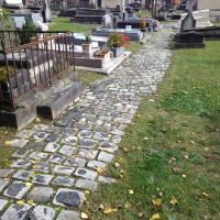 Cimetiere_ND-Versailles©Gondwana_2016 (7).JPG