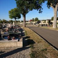 Cimetiere_Pejoces_Dijon%C2%A9Agrostis_2018%20%2810%29.jpg
