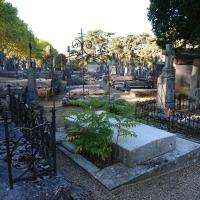 Cimetiere_Pejoces_Dijon%C2%A9Agrostis_2018%20%2813%29.jpg